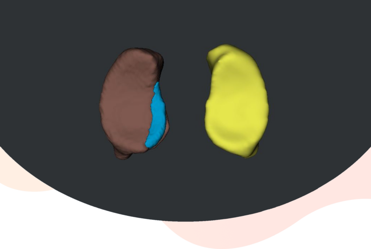 PROVA PROVA PROVA